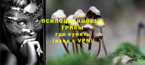 гашик Армянск