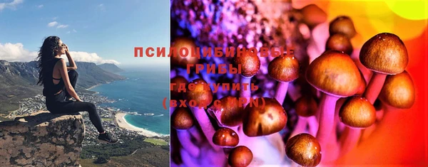 индика Балабаново