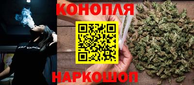 spice Кингисепп