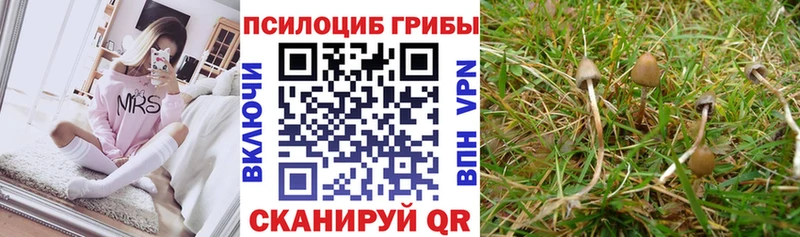 Псилоцибиновые грибы прущие грибы  Краснокаменск 
