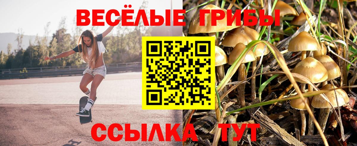 Псилоцибиновые грибы Magic Shrooms Краснокаменск
